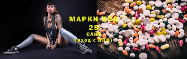 стафф Арсеньев
