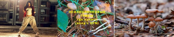 крисы Слюдянка