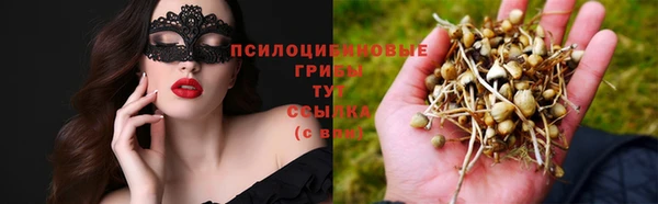 mix Аркадак