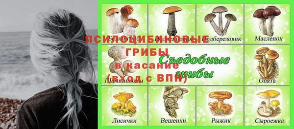гидра Алексеевка