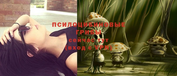 стафф Арсеньев