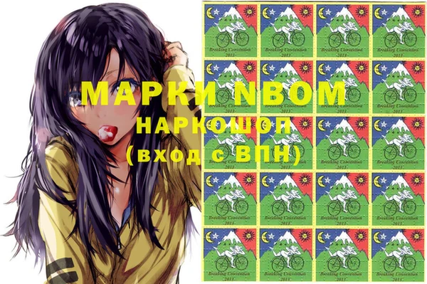 стафф Арсеньев