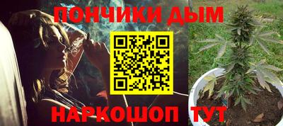 индика Бийск