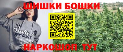 индика Бийск