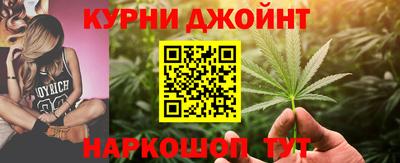 индика Бийск