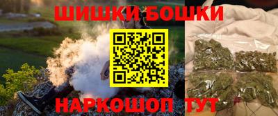индика Бийск