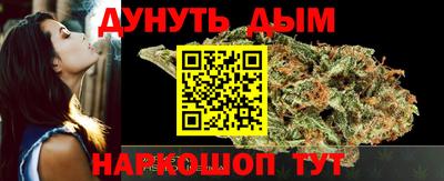 индика Бийск