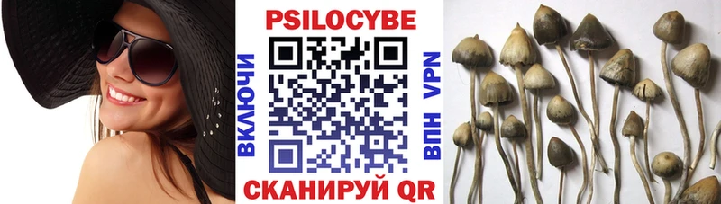 Псилоцибиновые грибы Magic Shrooms  Гуково 