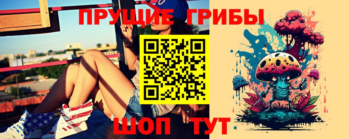Псилоцибиновые грибы Psilocybine cubensis  Вход с VPN  Гуково 
